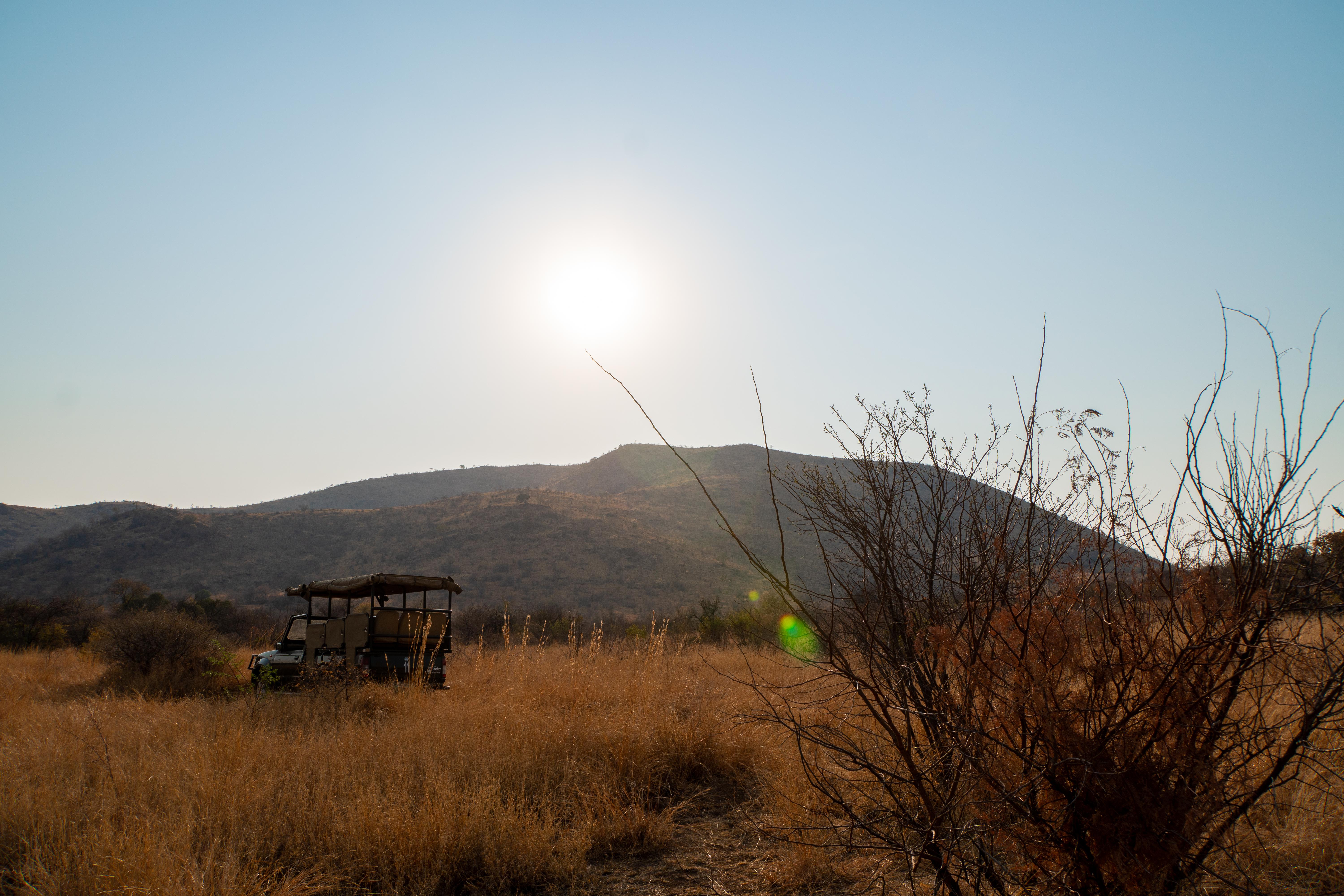 Bakubung Bush Lodge Ledig Zewnętrze zdjęcie